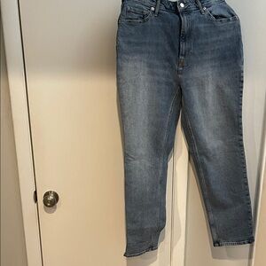 Everlane Light Blue Denim Jeans